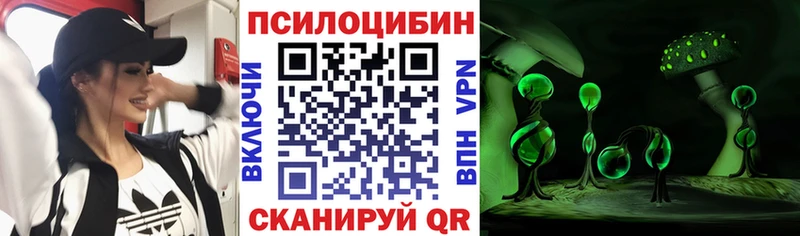 Галлюциногенные грибы Psilocybine cubensis blacksprut tor Симферополь